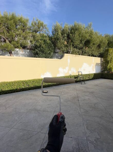 Exterior Painting work 1